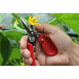 Darlac Floral Shear