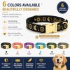waaag Collar de perro, collar de gato con diseño de