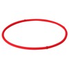 Phiten RAKUWA Magnetic Titanium Necklace S Red 45cm TG605152