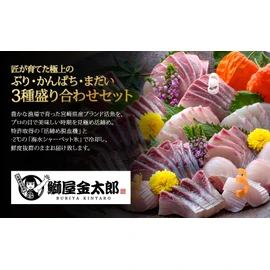 [Gift Use] Kintaro Kumiya Premium Buri, Amberberjack, and Yadai Assorted Set (10.6 oz (300 g) x 3 Types, Sashimi, Serving 4 to 6 People, Winter Gift (Vacuum Packing, Skin Removed, Block), Made in