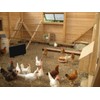 Econohome Safe Chicken Coop Heater, Safer Than Brooder Lamps, Gently