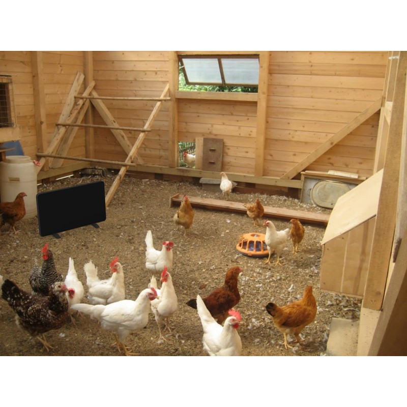 Econohome Safe Chicken Coop Heater, Safer Than Brooder Lamps, Gently