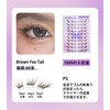 False eyelash bundle, natural false eyelashes, false eyelash part, no