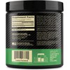 Optimum Nutrition Micronized Creatine Monohydrate Powder, Blueberry Lemonade Creatine, 60