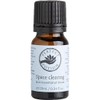Perfect Potion Space Clearing Blend 10 ml