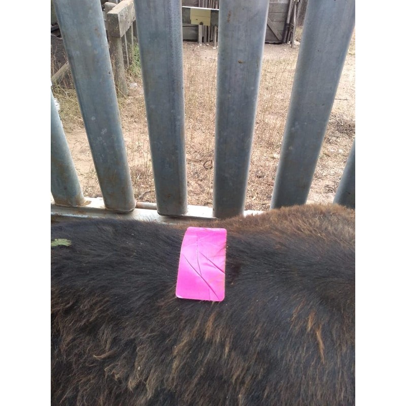 Heat Detector Mount Activity Label Patches Fuchsia 25PK