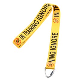 Please Ignore Me In Training Dog Lead Reactive Dog Give Me Space Dog Leash Wrap Rescue Dog Lead (In Training ignore lead)