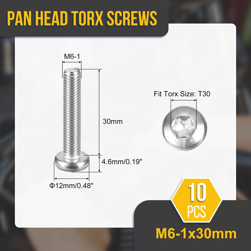 DTGN M6x30mm Pan Head Torx Security Screw - 10Pack -