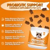 Daily Probiotics for Cats - 90 Salmon Flavored Soft Chews