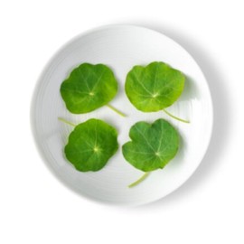 Fresh Origins Petite Greens, Nasturtium, 4 Oz, Hand-Picked, Slight Wasabi Flavor, Gourmet Garnish