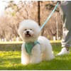 Dog Harness and Leash Set,Step-in Air Dog Vest, Reflective, No