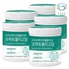 green fields Pureun Deulpan Chicory Root Extract 100% Fructooligosaccharide Inulin Dietary Fiber Powder 700g (5 packs) / 푸른들판 치커리 뿌리 추출물 100% 프락토 올리고당 이눌린 식이섬유 분말 700g 5개