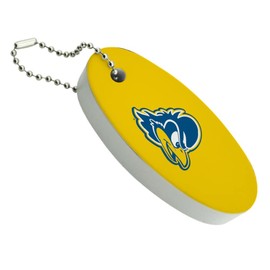 GRAPHICS & MORE Delaware Secondary Logo Floating Keychain Oval Foam Fishing Boat Buoy Key Float