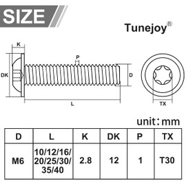Tunejoy 20 Stück M6 x 40 mm Linsenkopfschrauben mit Flansch Trox Linsenkopfschraube Innensechskant Edelstahl A2 V2A Flanschschrauben Vollgewinde mit T30 Inbusschlüssel