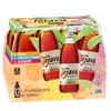 Tejava Black Tea Sampler, 12 ounce (12-Pack) Glass, Peach, Raspberry