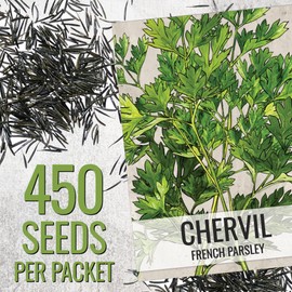 Seed Needs Chervil Seeds for Planting - Non-GMO, Heirloom & Untreated Annual Herbs - Grow an Indoor/Outdoor Garden Full of Culinary French Parsley (1 Pack)