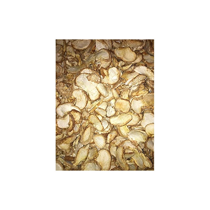 Dried Lion's Mane Mushrooms - 16 Ounce (1 lb)