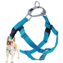 2 Hounds Design Freedom No Pull Dog Harness | Comfortable Control for Easy Walking | Adjustable Dog Harness | Small, Medium & Large Dogs | Made in USA | Solid Colors | 1" XL Turquoise