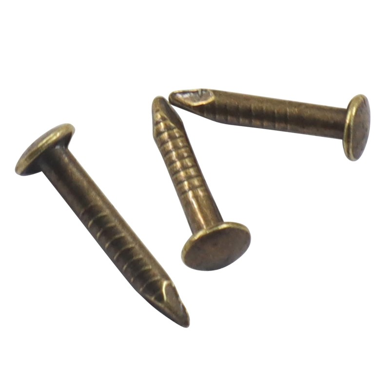 ISDVBUY 200Pcs Small Tiny Nails 1.2x8mm(DXL) Carbon Steel Copper Plated