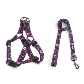 QQPETS Dog Harness Leash Set Adjustable Heavy Duty No Pull Halter Harnesses for Small Medium Large Breed Dogs Back Clip Anti-Twist Perfect for Walking