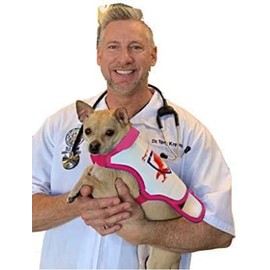 Raptor Shield Puncture Resistant Anti Coyote Dog Harness for Small Dogs .Made in USA— Large, 12-21 lbs, Chest 17.5 to 23"(Pink)