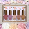 Canmake Foundation Colors 11 Creamy Beige 0.3 fl oz (8
