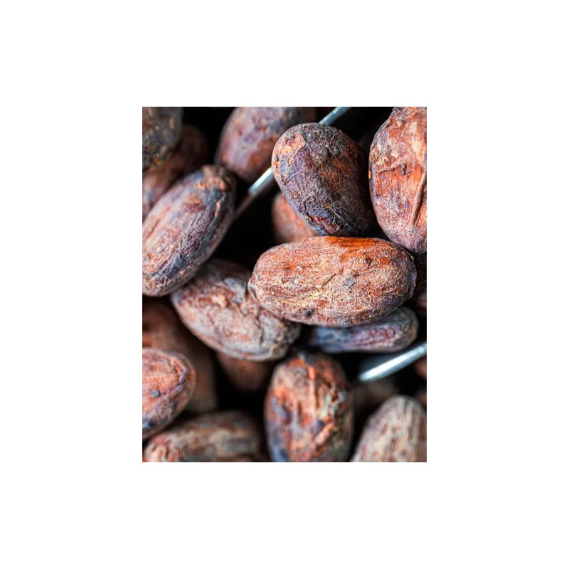 Grano De Cacao Fermentado Orgánico 1 Kg | Santo Cacao