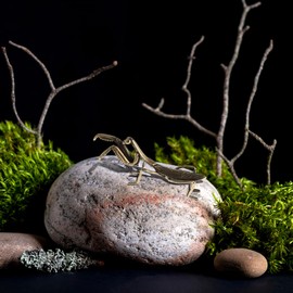 Toddmomy Figura de metal de cobre de Feng Shui, escultura de latón, decoración de jardín, decoración de latón para patio, decoración de mesa de té, regalo coleccionable