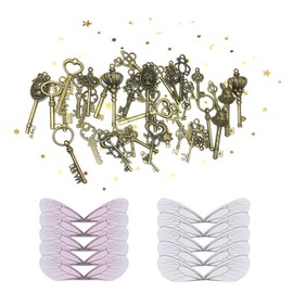 Tucireat Antique Keys 46 Pieces Skeleton Keys Flying Keys Decorative Old Key Pendant with 50 Pieces Wings Craft Dragonfly Wings Crystal Cord Decorative Keys for DIY Crafting, Alloy