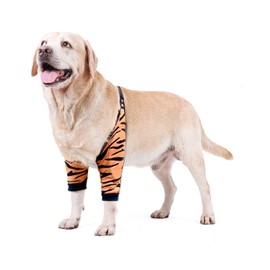 BT Bear Surgical Recovery Sleeve for Front Legs, Prevent Licking Wounds, Elbow Brace, Protective Dogs, Hip Joint Protection, Recovery Sleeves (Tiger, L)