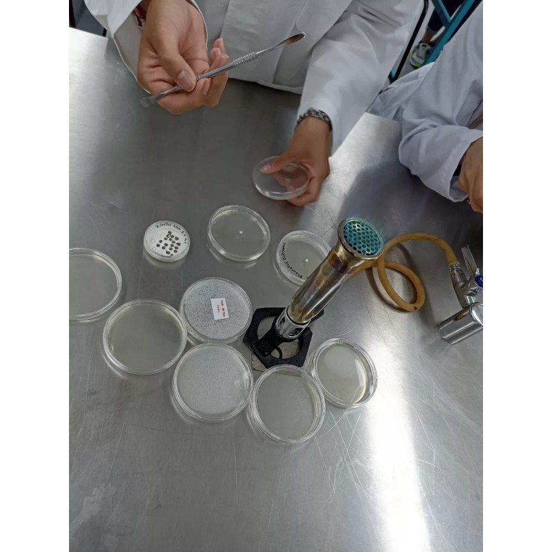 MYCELIUM Caja Petri Estéril Plástico 100x15 Mm (paquete 10 Pzs)