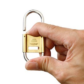 [Candy Design & Works] Delta Delta, (B)Brass