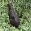 Vivid Arts Dobermann-Pinscher – Gartendekoration für drinnen und draußen