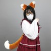 ANZOBEN Fox Ears, Headband and Tail, Fox Dance, 2-Piece Set,