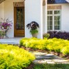 Southern Living Plant Collection SL-53Q Sunshine Ligustrum, 2.5 qt, Full