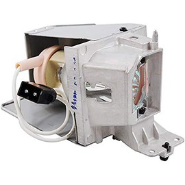 SP.8VH01GC01 Professional Replacement Projector lamp with Housing for Optoma HD141X, HD26, GT1080, W316, BR323, BR326, DH1009, DW333, DX346, EH200ST, S312, S316, X316 Projectors