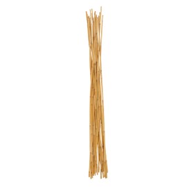 Deco 79 Bamboo Wood Home Decor Natural Foliage Tall Sticks Natural Dried Foliage, Foliage for Decoration 5" x 5" x 58", Light Brown