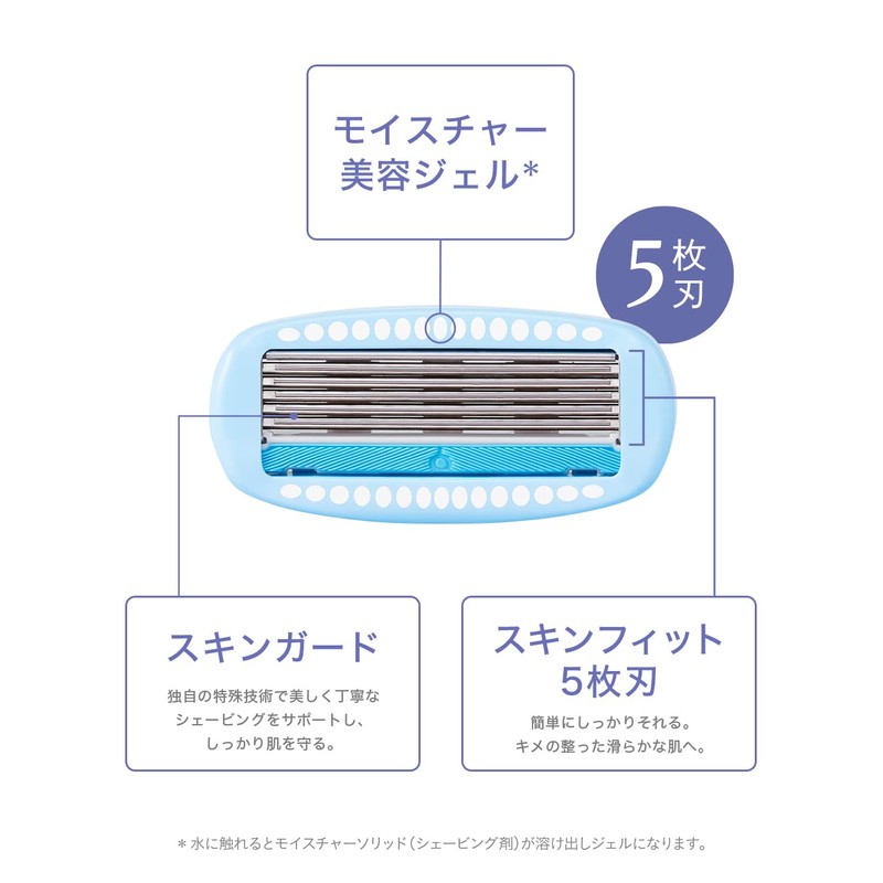 Schick Chic Schick Hydro Silk Holder (with Blade) Trial