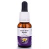 Living Essences Swan River Myrtle 15ml