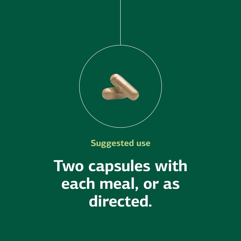 Standard Process Zymex Capsules - Digestive Health Support - Supports