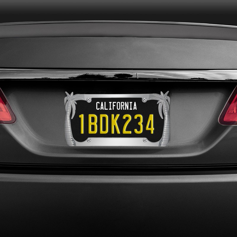 BDK Heavy Duty Rust-Proof Stainless Steel Chrome License Plate Frame