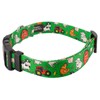 Country Brook Petz - Deluxe Farm Life Y'all Dog Collar