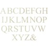 Wooden Letter 6" Blank L Times New Roman Font 1/4" MDF (Various Sizes)