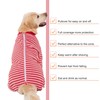 Yeapeeto Yeapeeto Dog Onesie Surgery Recovery Suit for Large Medium