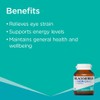 Blackmores Vision Care + Energy 60 Capsules