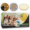 Mold Test Kit for Home 12 Simple Detection Tests, HVAC