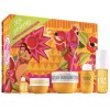 Sol de Janeiro Hydration Celebration Body Routine 5 Pcs Set