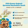 Lil Bucks Sprouted Regeneratively Grown Buckwheat Seeds– Paleo Cereal, Gluten-Free