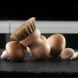 HOFMEISTER® Brush Set of Mushroom Brush & Vegetable Brush - for Gentle Cleaning of Mushrooms and Vegetables, Made of Soft Horsehair, Fibre & Union and Beech Wood