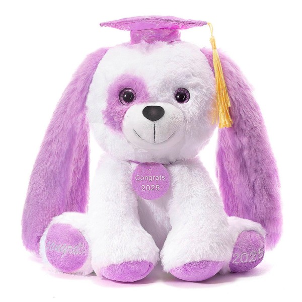 Oukiwi Graduation Teddy Bear Plush with Cap and Diploma, 8